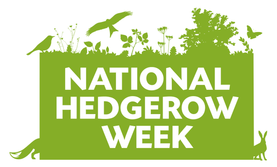 🌿 Happy #NationalHedgerowWeek! 🌿 Let's celebrate these vital habitats for wildlife, providing food, shelter, and nesting sites. Let's protect and preserve them for the biodiversity they sustain. 🐦🌳  #WildlifeHabitat #Biodiversity 🦋🌿

eu1.hubs.ly/H08WlHt0