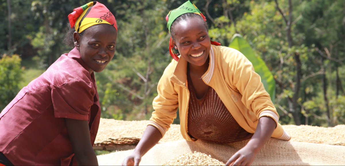 ☕️Coffee provides a livelihood to millions of smallholder farmers! Thanks to new #CooperazioneItaliana's financial contribution, @UNIDO will formulate a development program to increase the resilience & value of the #coffee industry in East Africa 🌍.