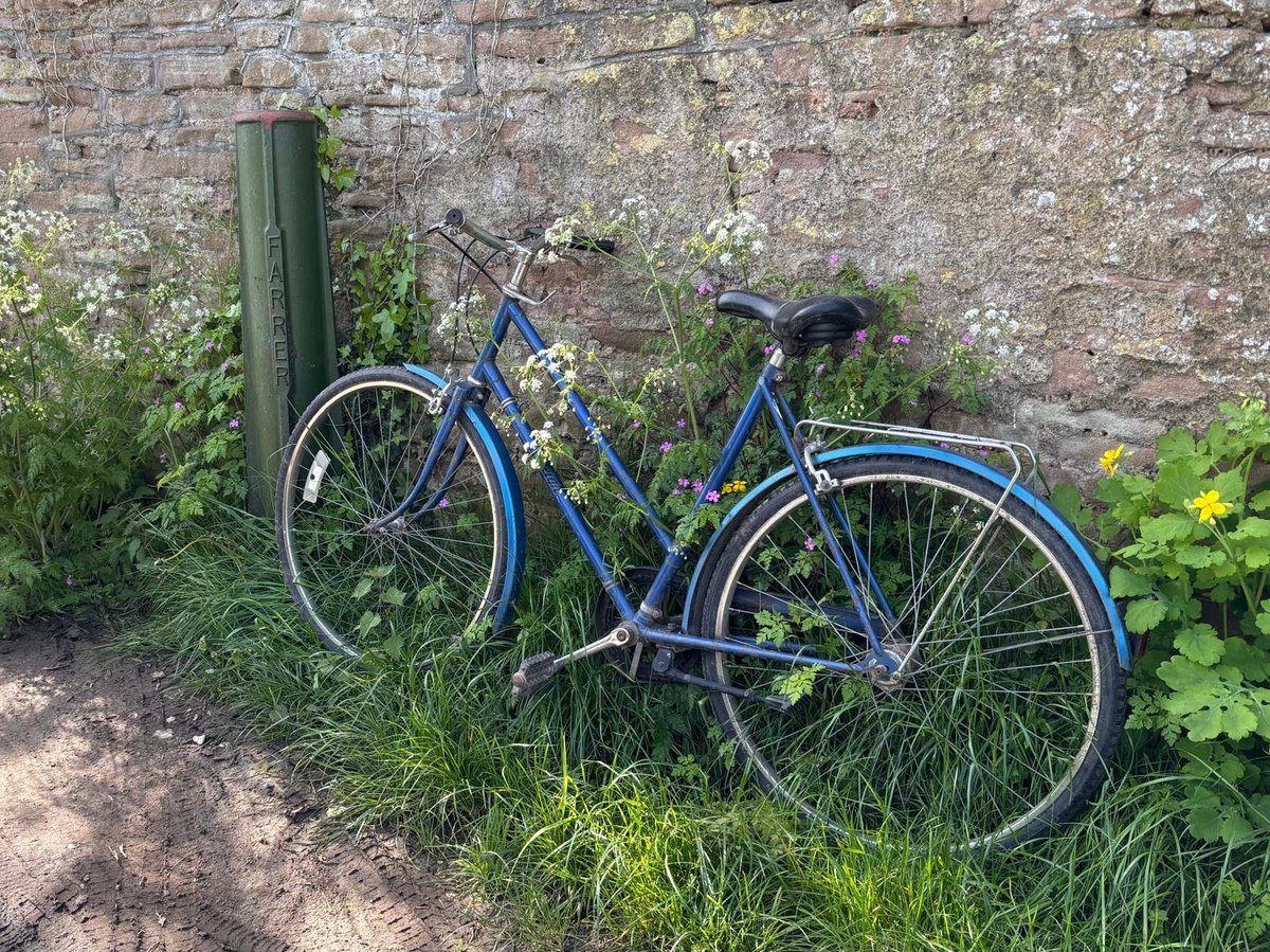 Mad Dogs & Vintage Vans?

Endless skies & vintage bikes more like...

Next w/e May 10/12 it's going to be GORGEOUS here & we have good availability

#glamping #wyevalley #visitherefordshire #deanwye #wyevalleyglamping #dogfriendly #dogfriendlyglamping #spring #herefordshire