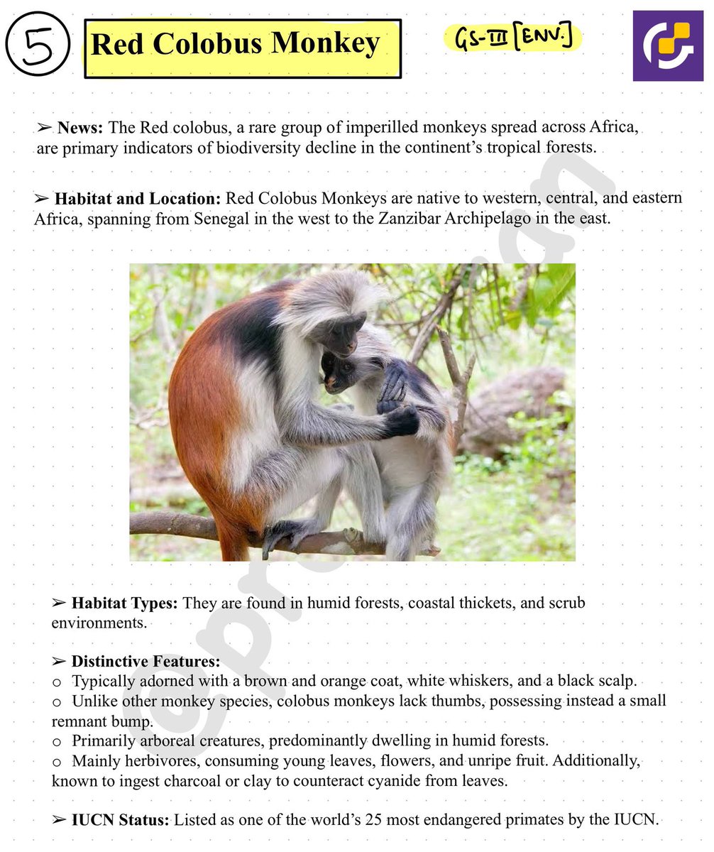▫️Species in News : Red Colobus Monkey

Habitat and Location
Features &
IUCN status

Follow @ProxyGyan