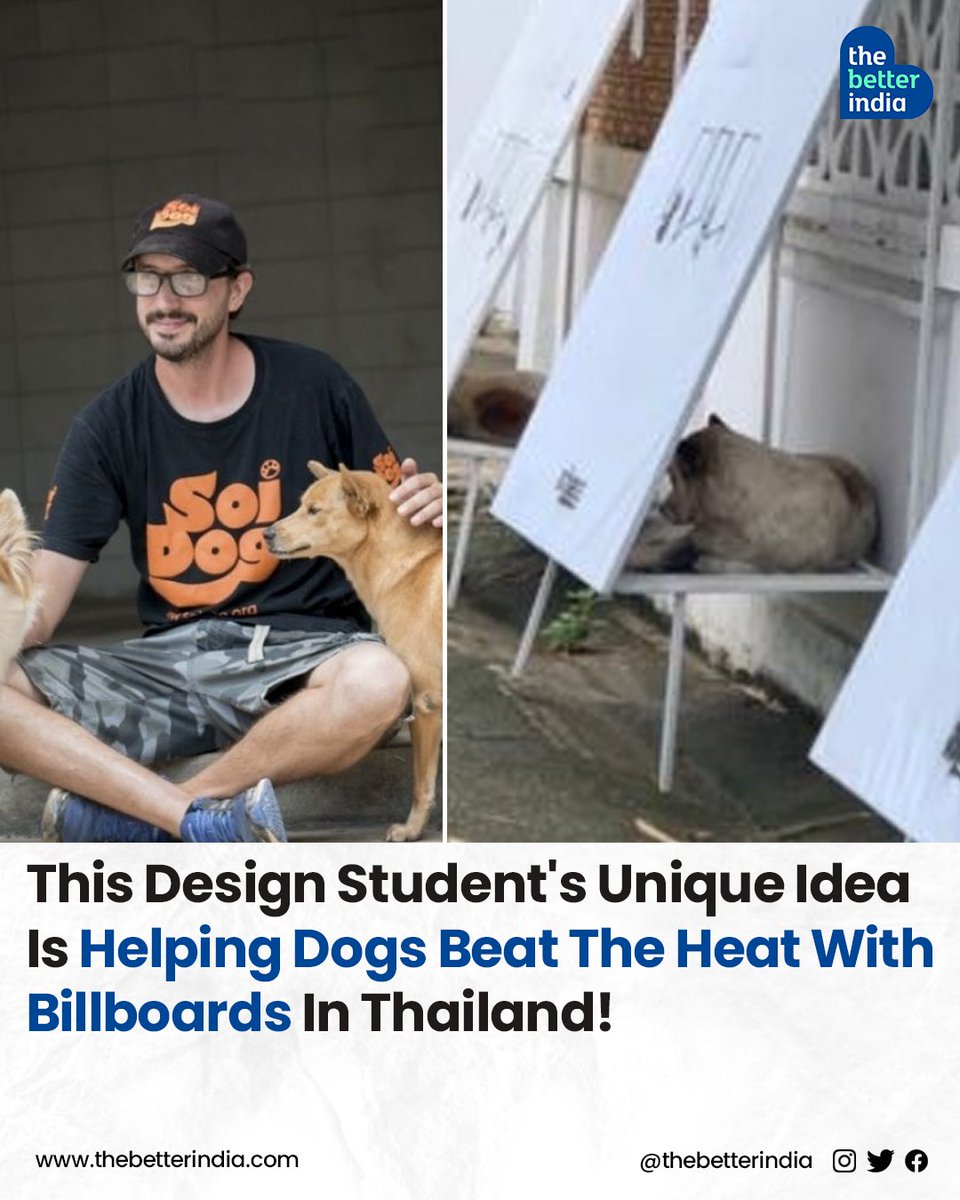 Imagine transforming billboards into cosy shelters for stray dogs!  

#InnovationForGood #StrayDogShelters #Sustainability #Compassion #EcoFriendly #AnimalWelfare #Changemakers #CreativeSolutions #CommunityImpact #Thailand