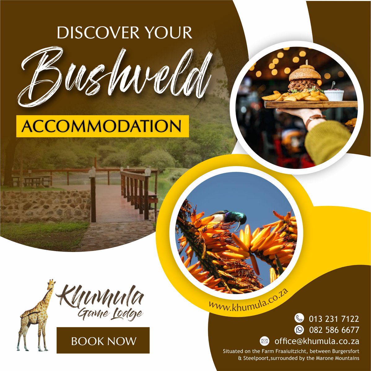 Bushveld Bliss at Khumula Lodge! Our deck boasts a scenic view of a breathtaking dam and mountain, as well as encounters with free-roaming antelopes, all while you indulge in the best woodfire oven pizzas. 
#KhumulaLodge #AffordableBushRetreat #Wildlife #ScenicViews