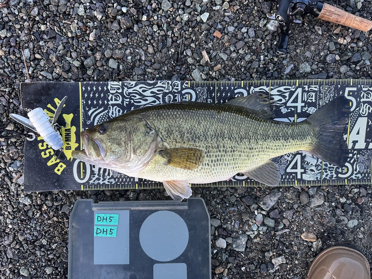 MONKA (@tattoosoma) / Posts / X