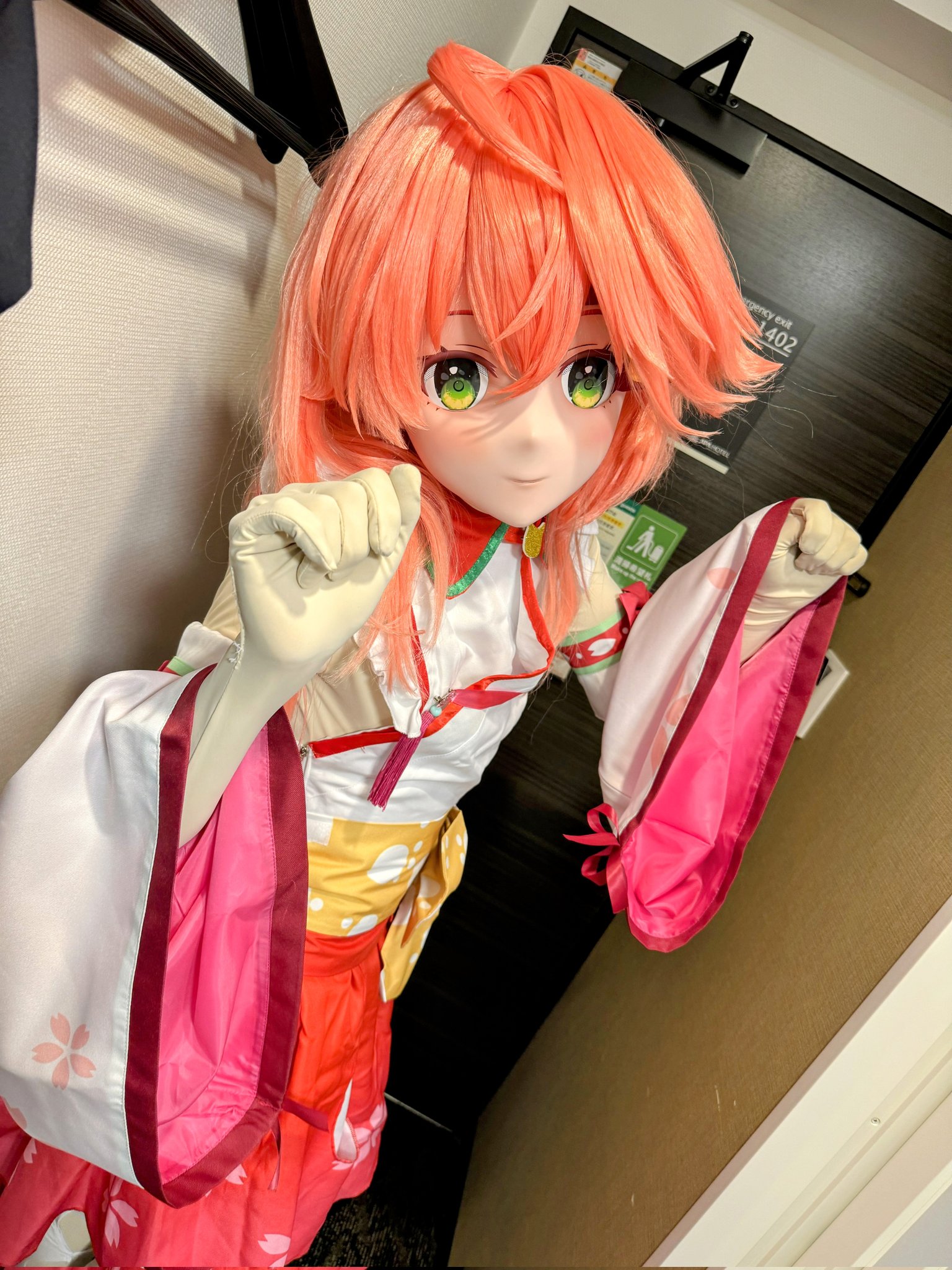 ☆*☆様 コヤンイサムチョン♡プリンセス素敵なオッドアイにゃん♡テディ着ぐるみト ☄️🌸鉄アニ🌸☄️ (@TETYUANI_Kig) / X