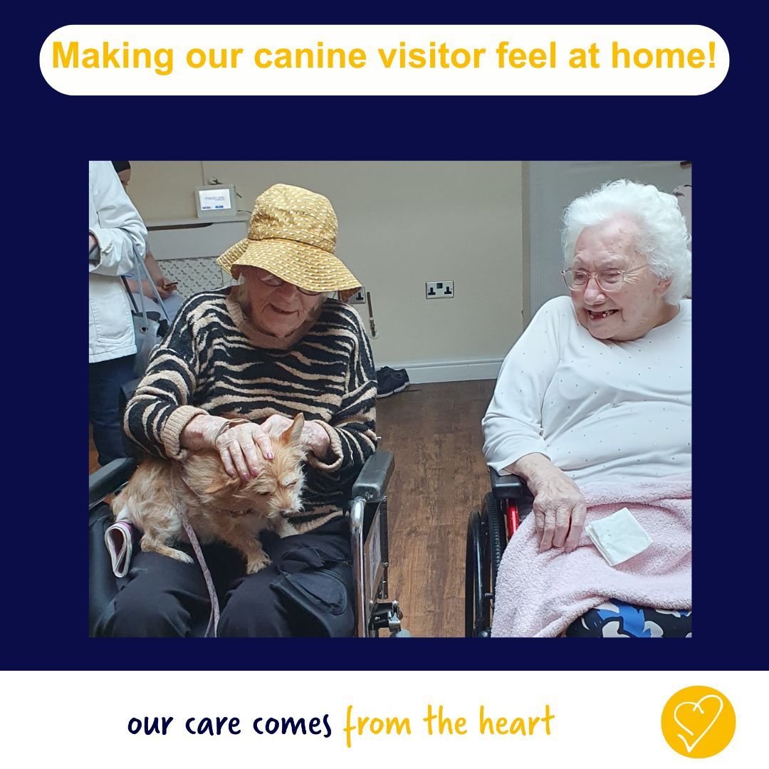 Pets are always very welcome to visit us. The dogs are friendly and lots of us enjoy a cuddle together, especially if we used to own a dog ourselves! 
This lovely picture was taken last week at Anita Stone Court nursing home in Moseley.
#BCOP #AnitaStoneCourt #pettherapy