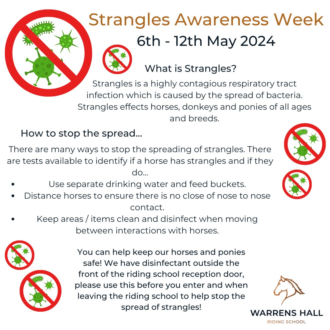 🚨Strangles Awareness Week!🚨 Help us keep horses safe by spreading the awareness of strangles! 🚨🐴 To find out more about strangles, head to bhs.org.uk/horse-care-and…