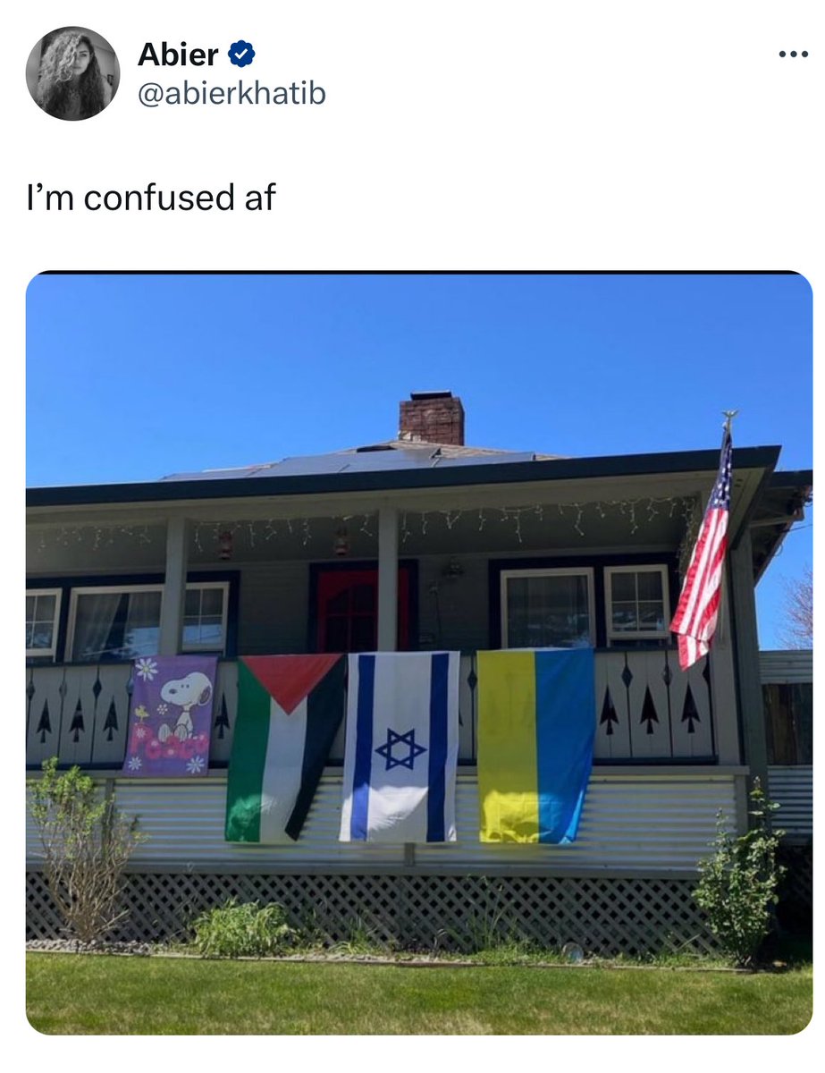 aziz0nomics's tweet image. It's not confusing to find someone who wants Ukrainian people, Palestinian people, and Israeli people to be able to live in peace.

This is an anti-war house.