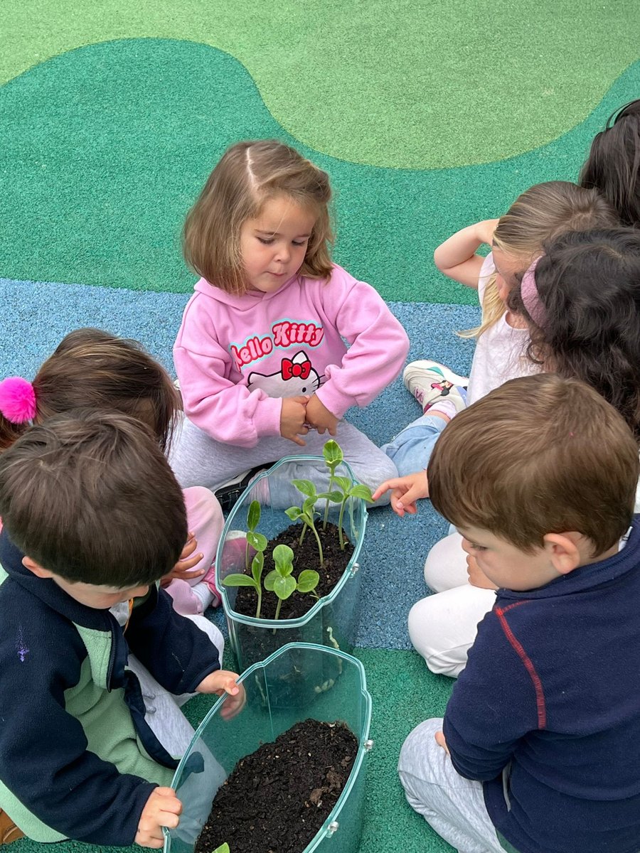 Preschool and Nursery. We have already planted some of the seeds we brought from home. We have a special place for the sunflowers that we care for by weeding and watering them.
#pyp#sharingtheplanet#earlyyears#caring