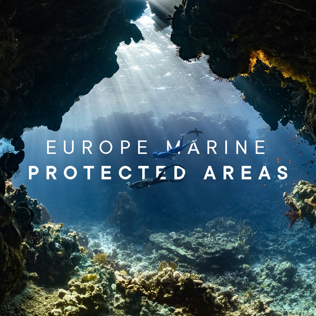 🌊🇪🇺 Europe's marine wonders under protection! 🌍✨ Did you know about three of Europe's most significant Marine Protected Areas (MPAs)? Here they are: #marineprotectedareas #marinewildlife #marineprotection