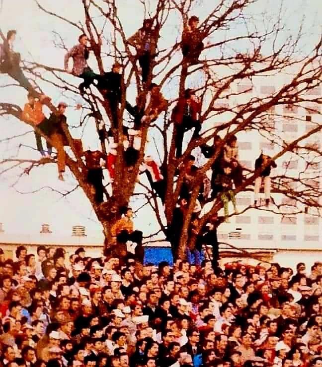 mometm's tweet photo. Un nouveau stade 🏟️ 🟠🔵 ça urge là #Humour #LaButte #Paillade 😈 #Vintage https://t.co/rTSquhlcwn