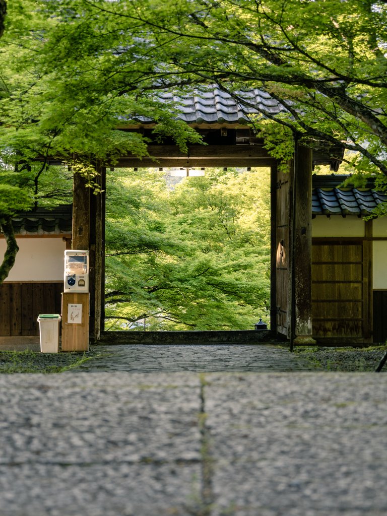 緑の世界へ通じる門。丹波円通寺