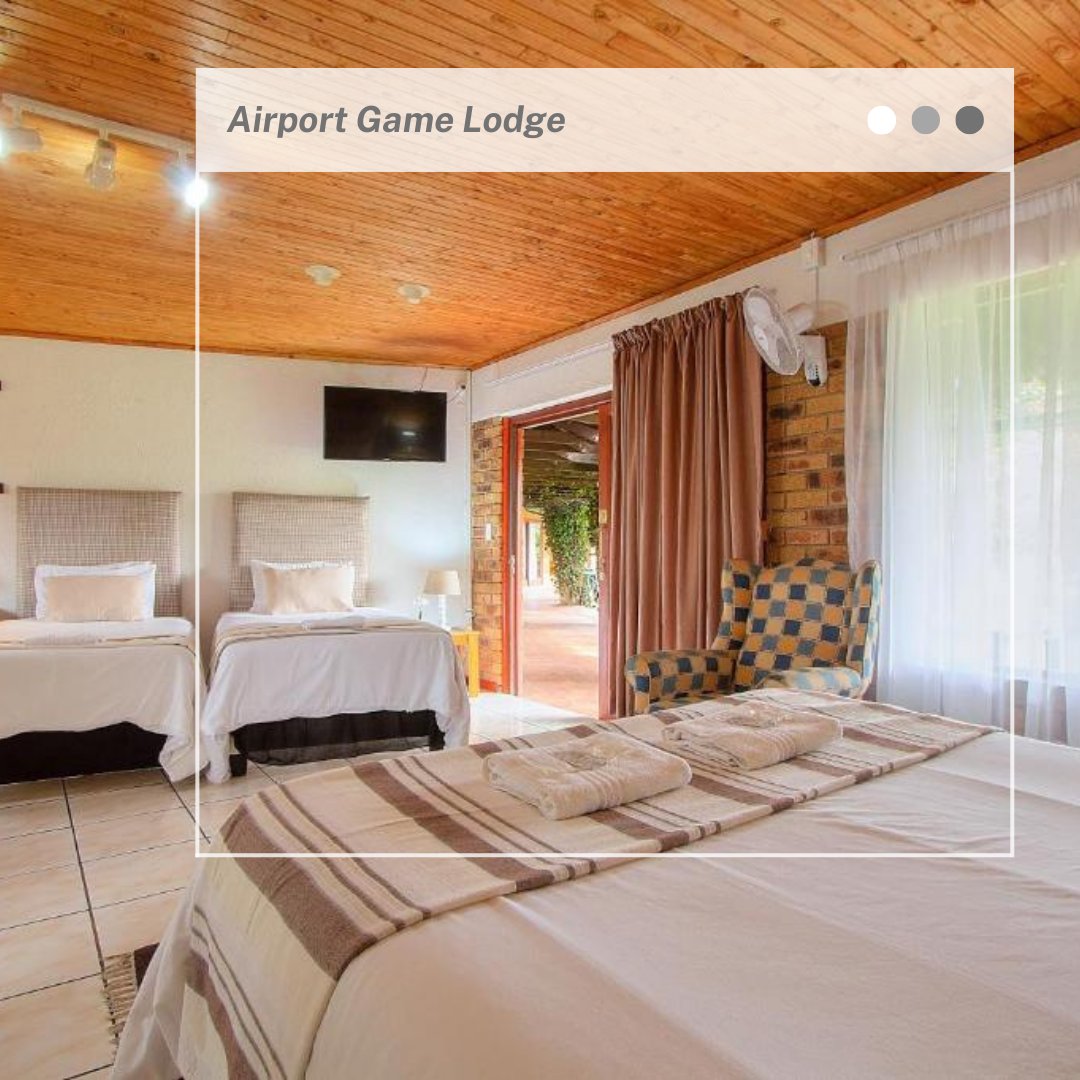 Elevate your wilderness getaway in our spacious accommodation, where adventure meets indulgence.

Book now: book.nightsbridge.com/31304

#AirportGameLodge #AGL #accomodation #travel #vacation #holidays #wildlife #game #selfcatering #AfricanBush #FreeAirportTransfer