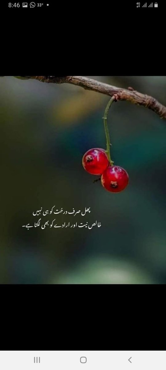 *السلام و علیکم*🌹 *دن بخیر*🥀 *دوسروں کے دلوں میں زندہ رہنا ھی اصل زندگی ھے.* *اللّٰہ کریم آپ کو تاحیات خوش رکهے اور آنے والی هر مصیبت اور پریشانی سے محفوظ رکهے.* *آمین*🤲