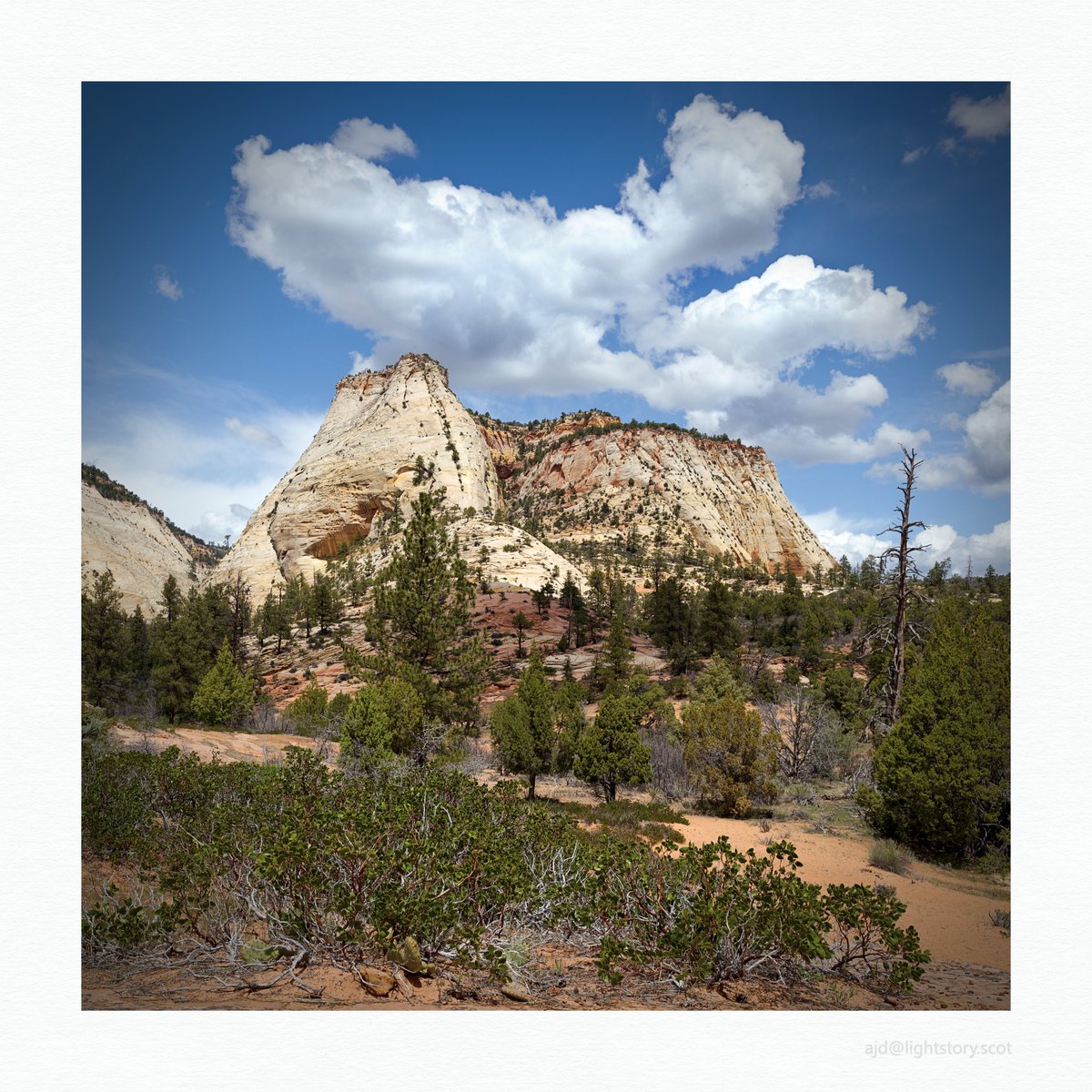 Zion National Park, Utah #landscape #landscapephotography #Nikon @UKNikon