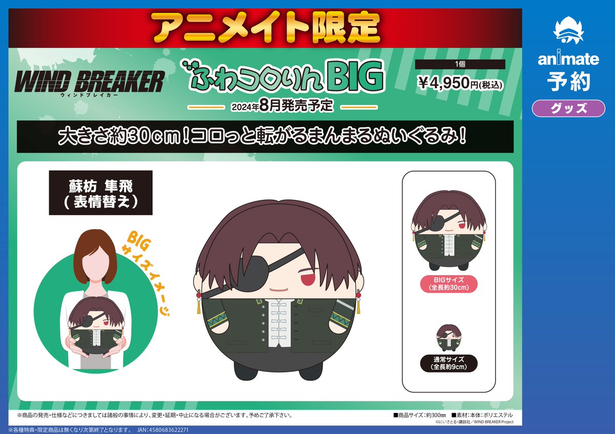 蘇枋隼飛　ふわコロりん　ウィンブレ グッズ予約情報】 「WIND BREAKER ふわコロりんBIG H:蘇枋 隼飛(表情
