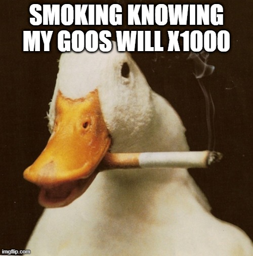 gooscoin's tweet photo. Want to get some too?   
Website https://t.co/sLnyvEN4MA   
Join Community:  
 TELEGRAM: https://t.co/b73kO3AuBC
DISCORD: https://t.co/N3ZqxBU2tu
TIKTOK: https://t.co/2yhSlb27b2 
#GoosCoin #Solana #radium #memecoins #memecoin https://t.co/gt0ssDtqnN