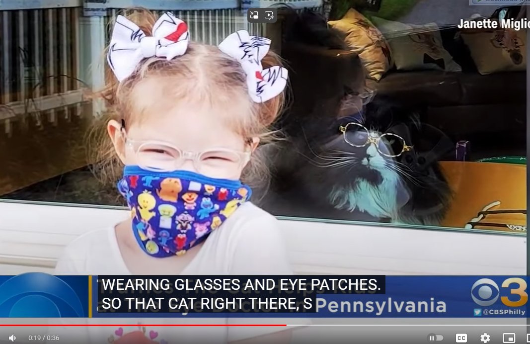 یه صفحه‌ای بود بنام Cats with job 
این گربه تو یه مرکز بینایی سنجی کودکان کار می‌کرد، شغلش هم این بود که عینک بزنه تا کودکان نسبت به مشکلات بیناییشون احساس بهتری داشته باشن . 
:)