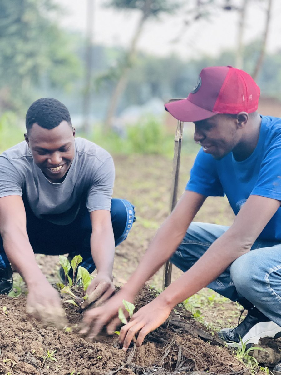 #Seeds today, harvest tomorrow. Invest in your future with agriculture.

The future of farming is in our hands. Let's make it sustainable and prosperous.

#YouthInAgriculture
#SustainableAgriculture
#BetterFuture