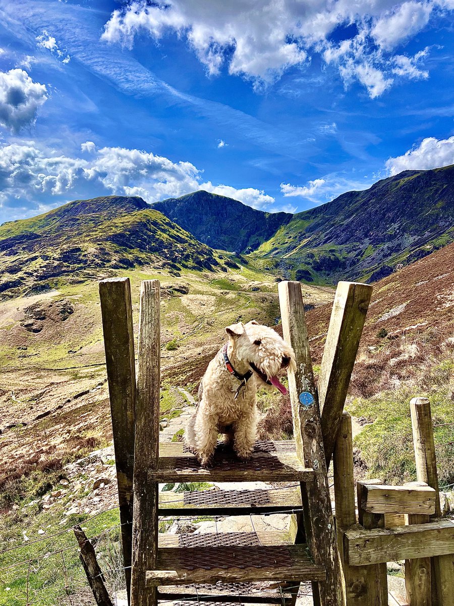 One of the lovely things about being in the mountains is that everyone is happy cheerful and smiles lots ….. There’s always someone to chat to and swap tales of your adventures of the day ❤️