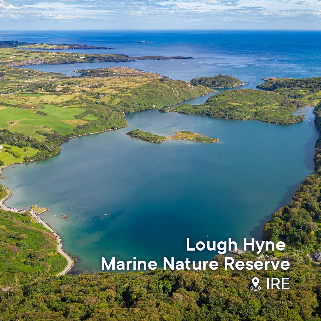 3️⃣Tucked away in County Cork, #Ireland, Lough Hyne is a unique #marine lake and Ireland's first marine #nature reserve. This protected area encompasses diverse habitats, supporting a rich array of marine life, including rare species like the bioluminescent ostracod.