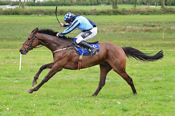 Winner 33 of the season for @bononeill1 for @Gaynestownstud 📸 healyracing.ie