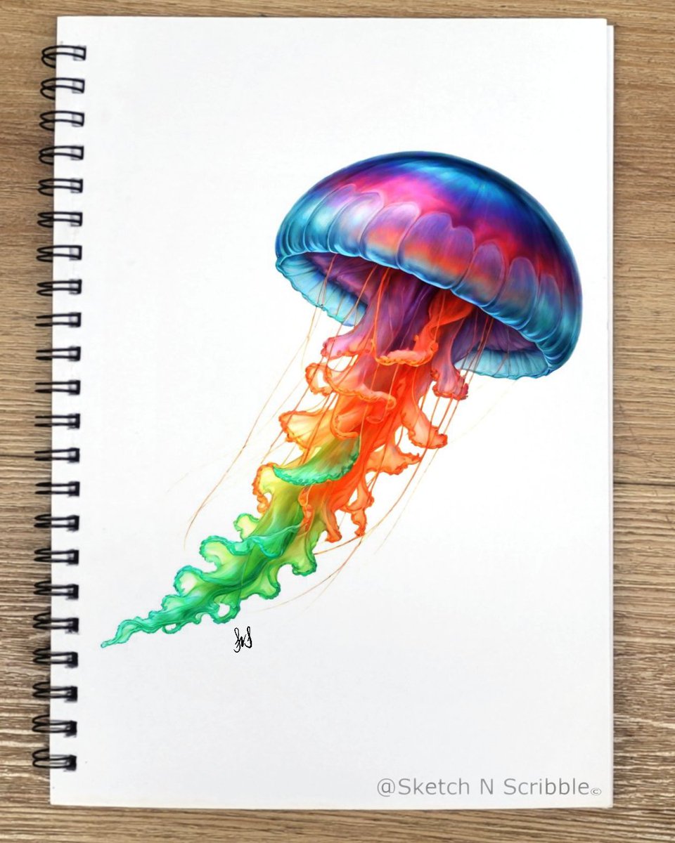 Jelly fish drawing. #jellyfish #art #amateurartist #illustration #ocean #sealife #marinebiology #pen #pencil #drawing