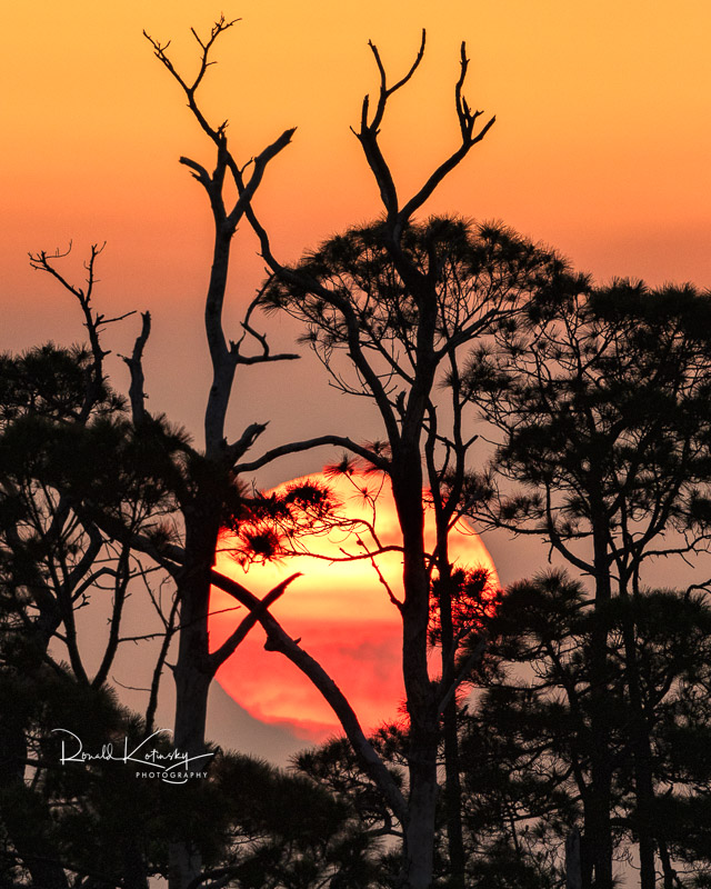 Good Morning -  sunrise from the Panhandle of Florida

-

Landscape photography at 500mm

-

#photography #sunrise #canonphotography