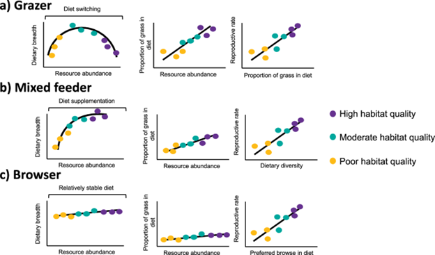 Optimal foraging theory (OFT) can be used to predict how herbivores in different guilds should change their diets seasonally between preferred and fallback foods