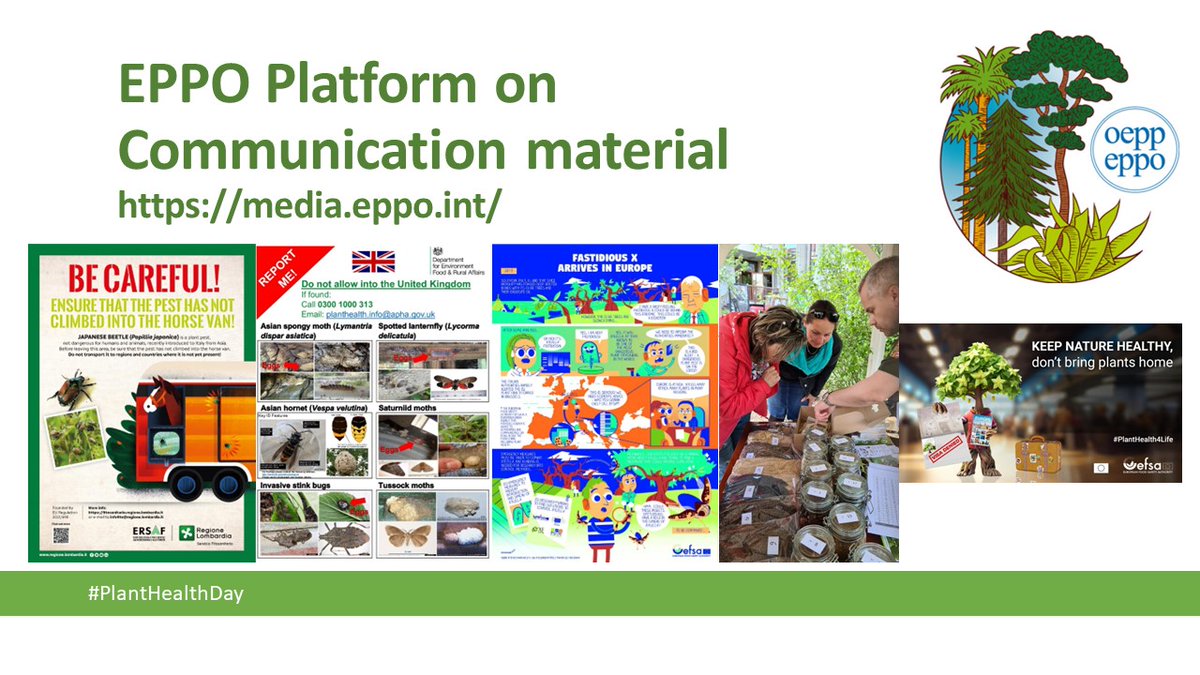 Plants are life! 🌱🏵️ Communicating on plant pests is crucial to raise awareness of the public as well as plant health professionals Discover the dedicated EPPO Platform on Communication Material: media.eppo.int/index #PlantHealthDay #PlantHealthWeek