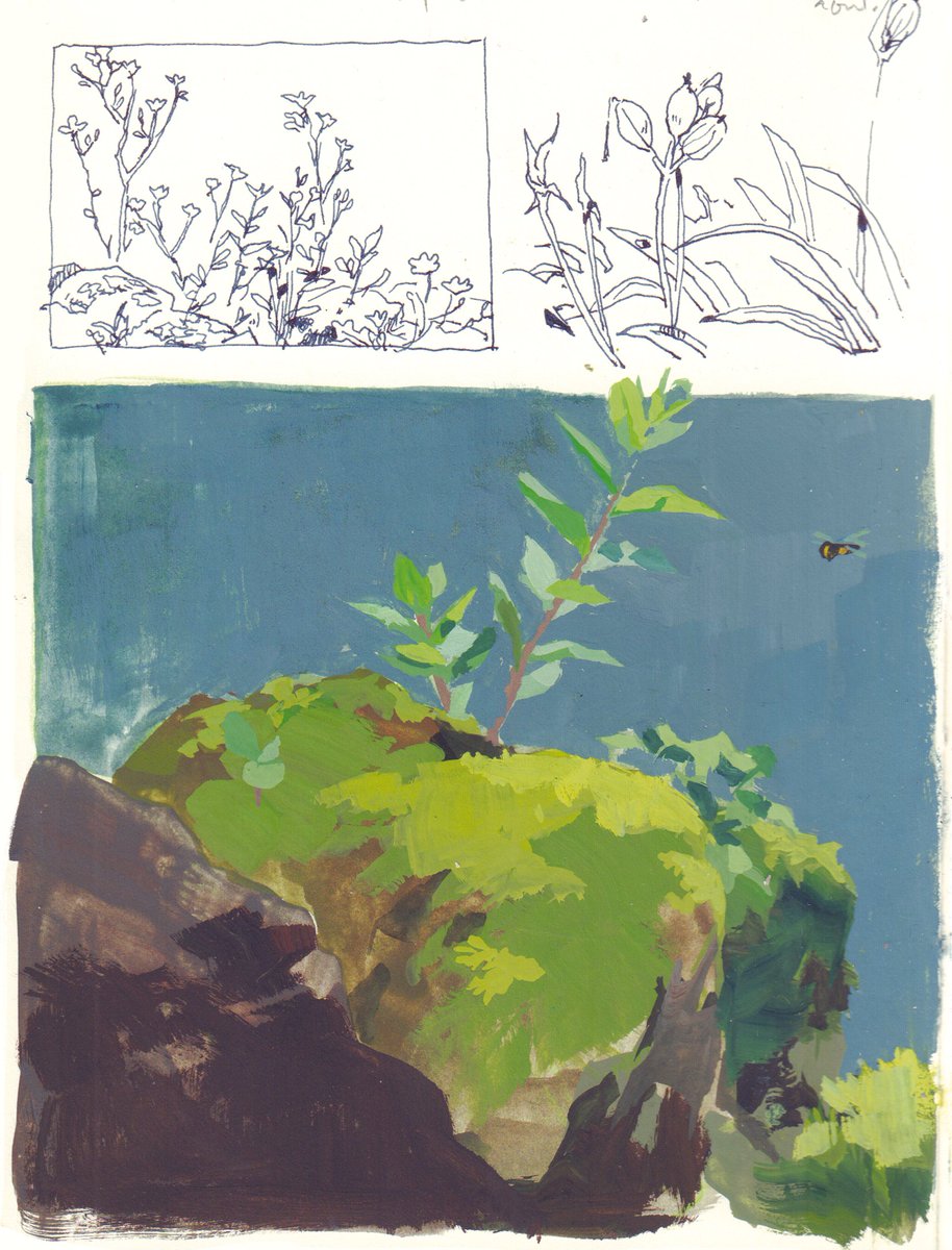 Are u ready for more sketchbook pages ? ♥ #Gouache #Pleinairpril