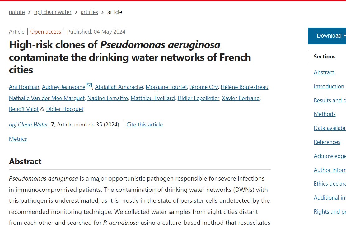 Our new paper published in npj Clean Water on the Contamination of drinking water networks by #Pseudomonas aeruginosa in France. @fc_univ @CNRSecologie 👉nature.com/articles/s4154…
