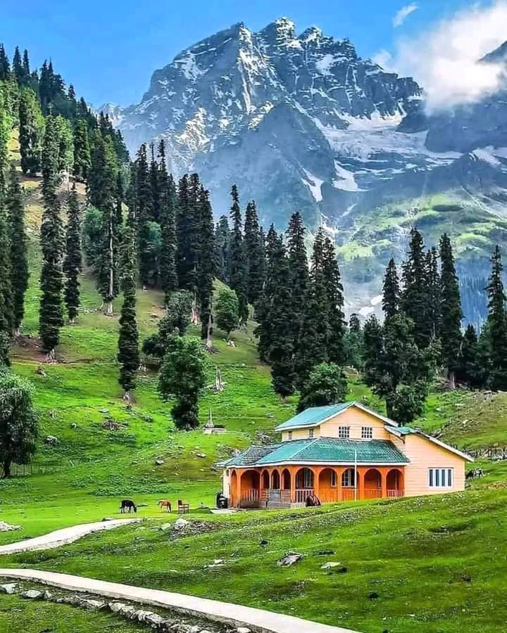 Beautiful Kashmir ❤️🌈🌈🌈