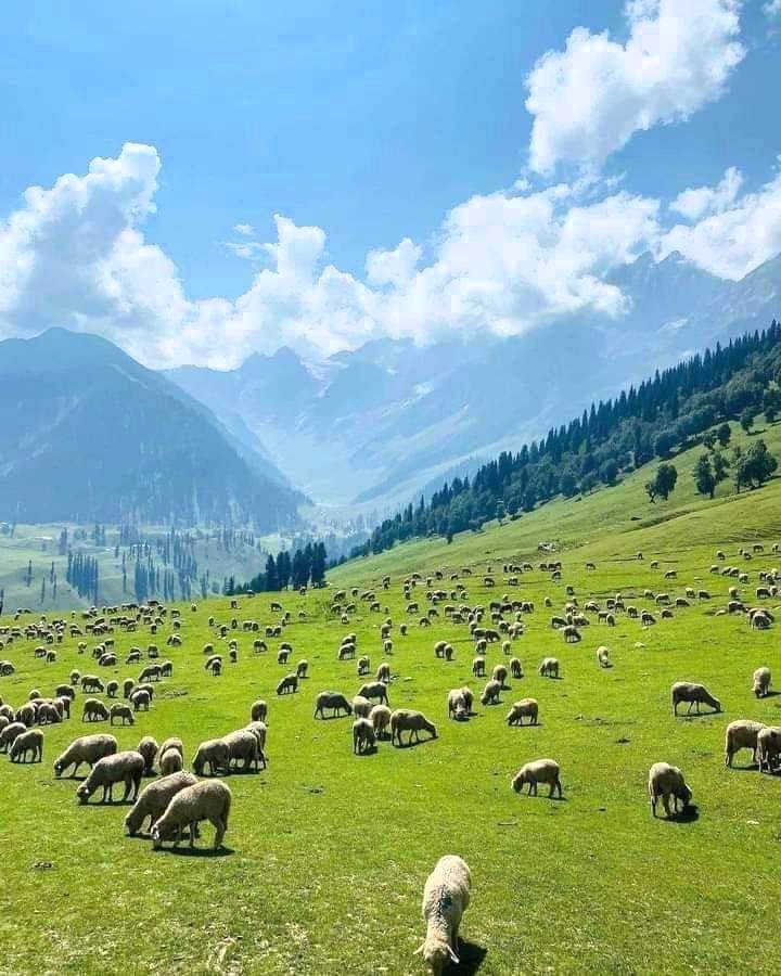 Beautiful Kashmir 💕