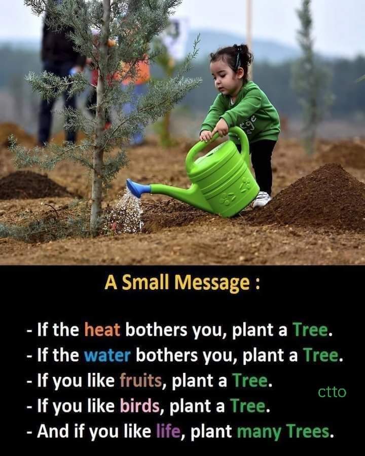 #WorldEnvironmentDay