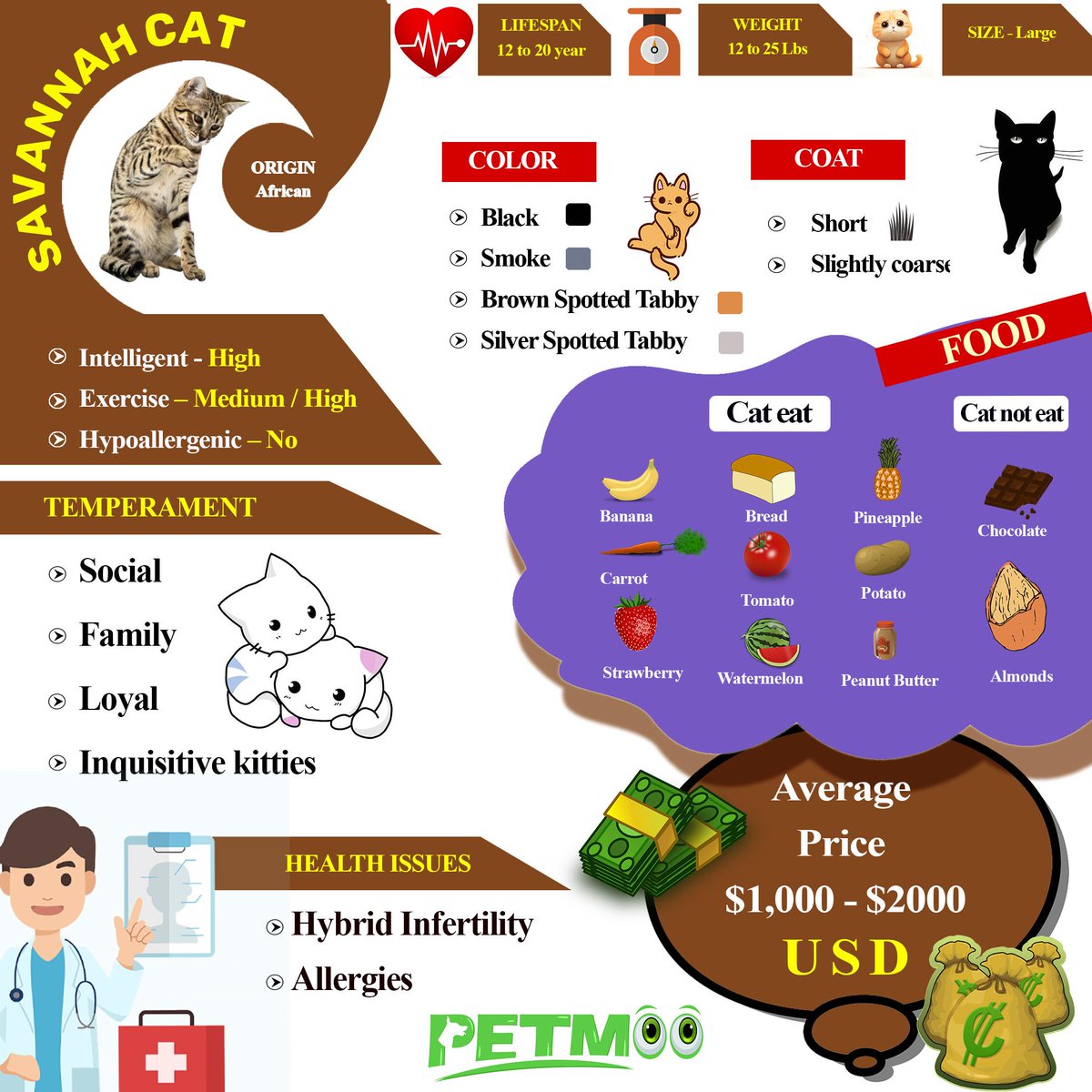 Savannah Cat Infographic
#petmoo #pets #cats #catbreeds #catinfographic #savannahcatinfographic