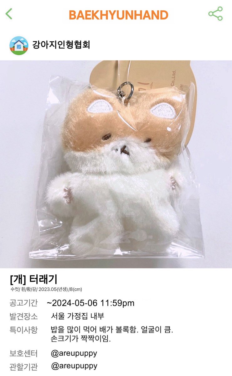 [개] 터래기
안녕하세요 
터래기의 새로운 누나를 찾습니다

백현이 생일 맞이 #RT 이벤트로 터래기를 입양할 수 있다니 완전럭키잖아🍀

✔️기간은 오늘 저녁 11시 59분까지
#기다리던_민족대명절_큥탄일
#오월이행복한이유는_배켜니
#HAPPYBAEKHYUNDAY
#해피큥데이 #백현