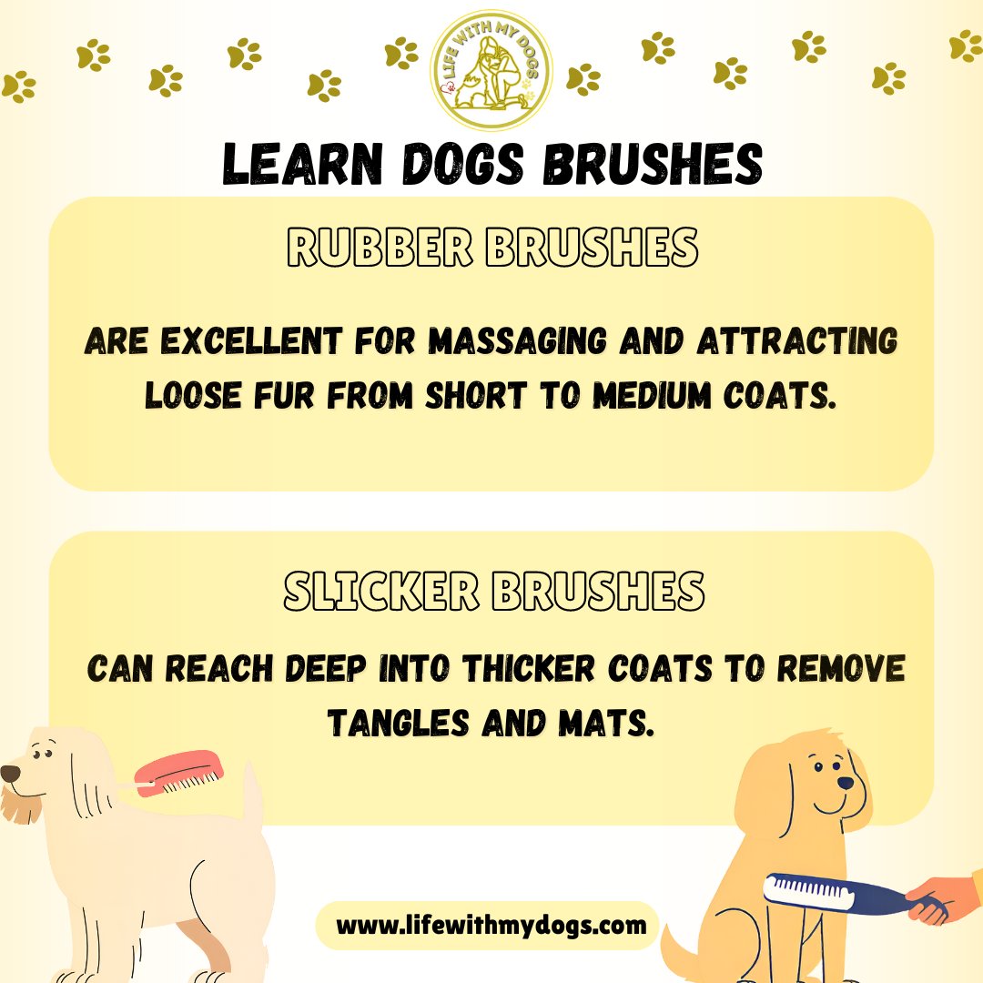 From fur to fabulous: Master the art of dog grooming with the perfect brush in hand! 🐾💇‍♂️For more information, visit lifewithmydogs.com #dogsgrooming #dogcare #doghealth #lifewithmydogs