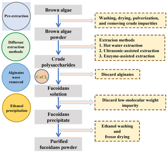 #mdpifoods #Editor’s Choice Article📔 🌈Title: Fucoidan-Derived Functional #Oligosaccharides: Recent Developments, Preparation, and Potential #Applications by Min Wang et al 📌Link: mdpi.com/2304-8158/12/4…