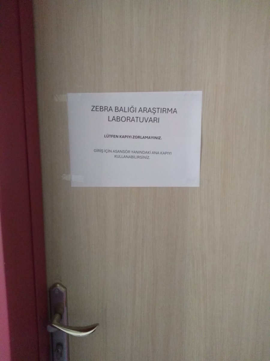 insanın da meraktan bı kapıyı zorlayası geliyo simdi