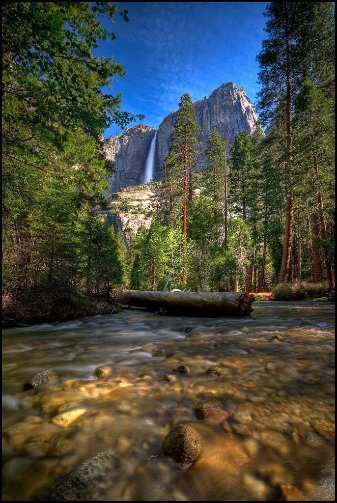 Yosemite National Park