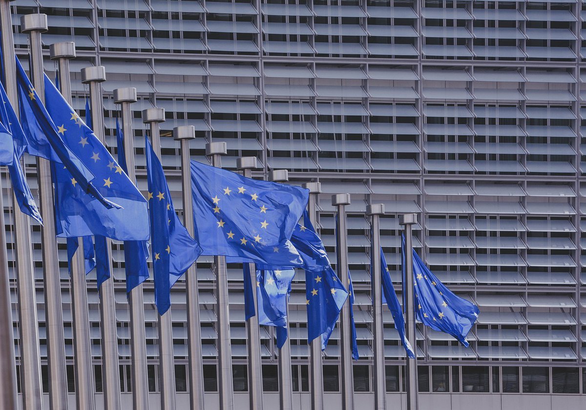 ACTUALITÉ 🔔 Élections européennes : déclaration relative à l’exercice effectif de la citoyenneté des personnes en situation de handicap (D-2024-2) Cliquez 👉 urlz.fr/qzkv #ElectionEuropenne #Vote #Handicap #Citoyen