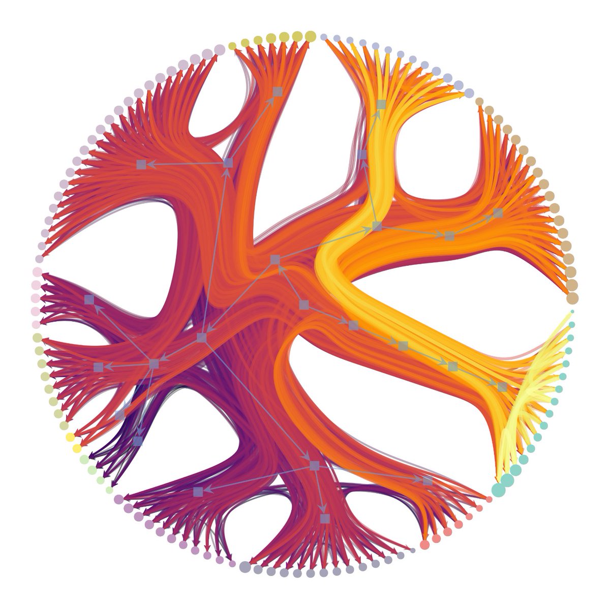tiagopeixoto's tweet image. Good news everyone! A new version of graph-tool is just out! @graph_tool
graph-tool.skewed.de
@graph_tool is a comprehensive and efficient Python library to work with networks, including structural, dynamical, and statistical algorithms, as well as visualization. 1/N