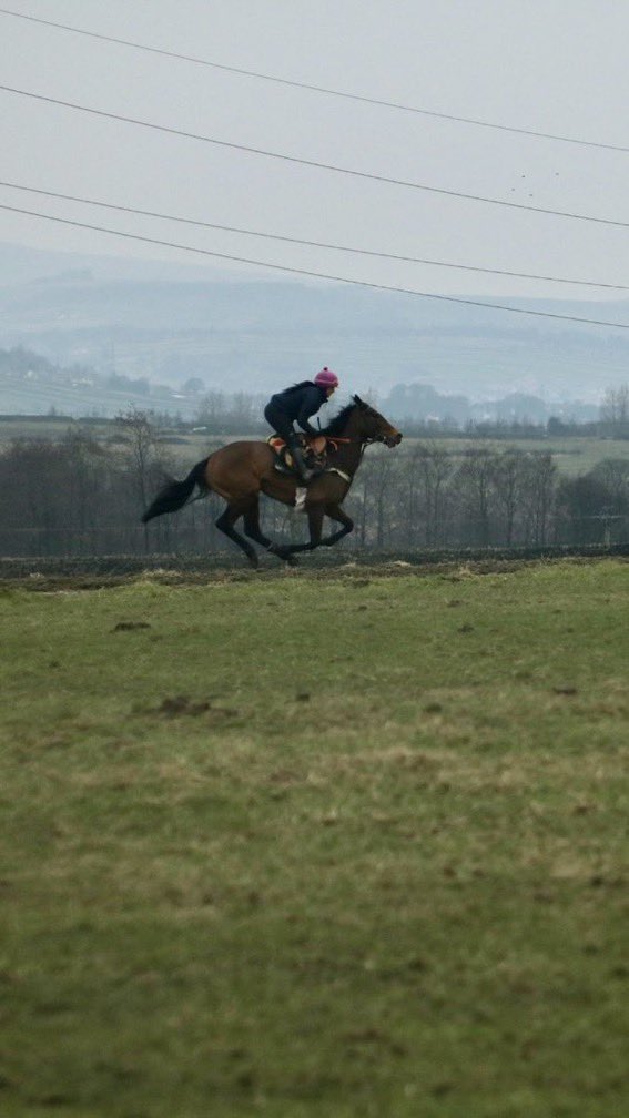 We have three runners today @WarwickRaces. Darsi's Darling (2.40) ridden by @TomMidgley4, Treasurer Company (5.35) ridden by @NickScholfield1 and Just Jess (6.05) ridden by @MaggsWilliam. #SSRacing 🏇.