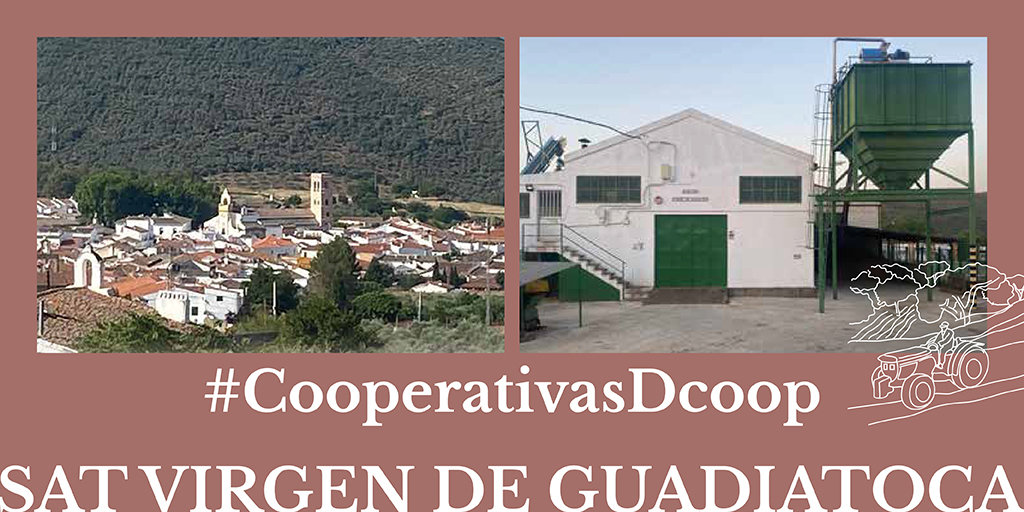 👏Te presentamos la cooperativa SAT Virgen de Guadiatoca, gracias a sus aceites ecológicos, contribuye a favorecer la biodiversidad de su zona, frenar la erosión del suelo y prevenir los incendios y, fijar la población a su zona, conservando sus tradiciones. #CooperativasDCOOP