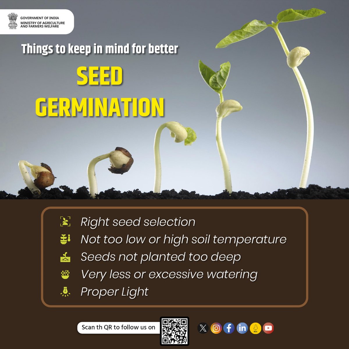 Quality #Seeds for Quality Produce

Seed germination plays a vital role in the transition from seed to #crop. Better seed germination results in better yields, provided certain factors are considered. Here are a few key aspects to keep in mind for a better seed #germination.