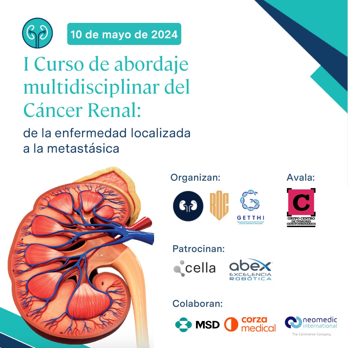 📢 Este viernes, I Curso de Abordaje Multidisciplinar del Cáncer Renal: De la Enfermedad Localizada a la Metastásica en @HMHOSPITALES Sanchinarro, dirigido a oncólogos, urólogos, radiólogos y patólogos. 🗣️Dir.: @vital_hevia y @jgarciadonas ✍️ Inscríbete: lnkd.in/dRJ75syU