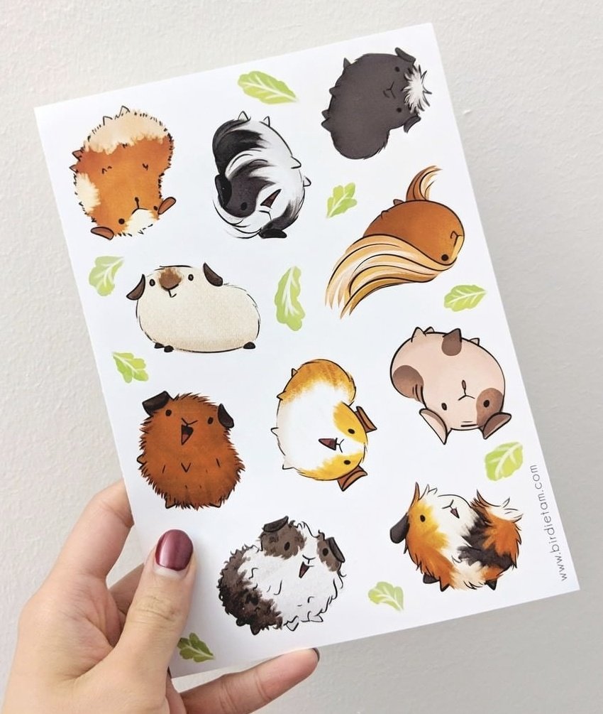 I wanna draw new guinea pig stickers - please show me your piggies!!