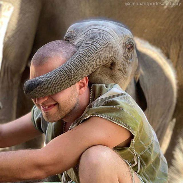 Give me a hug ❤️ Credit: elephantpridesanctuary -instagram.com/elephantpridesanctuary/