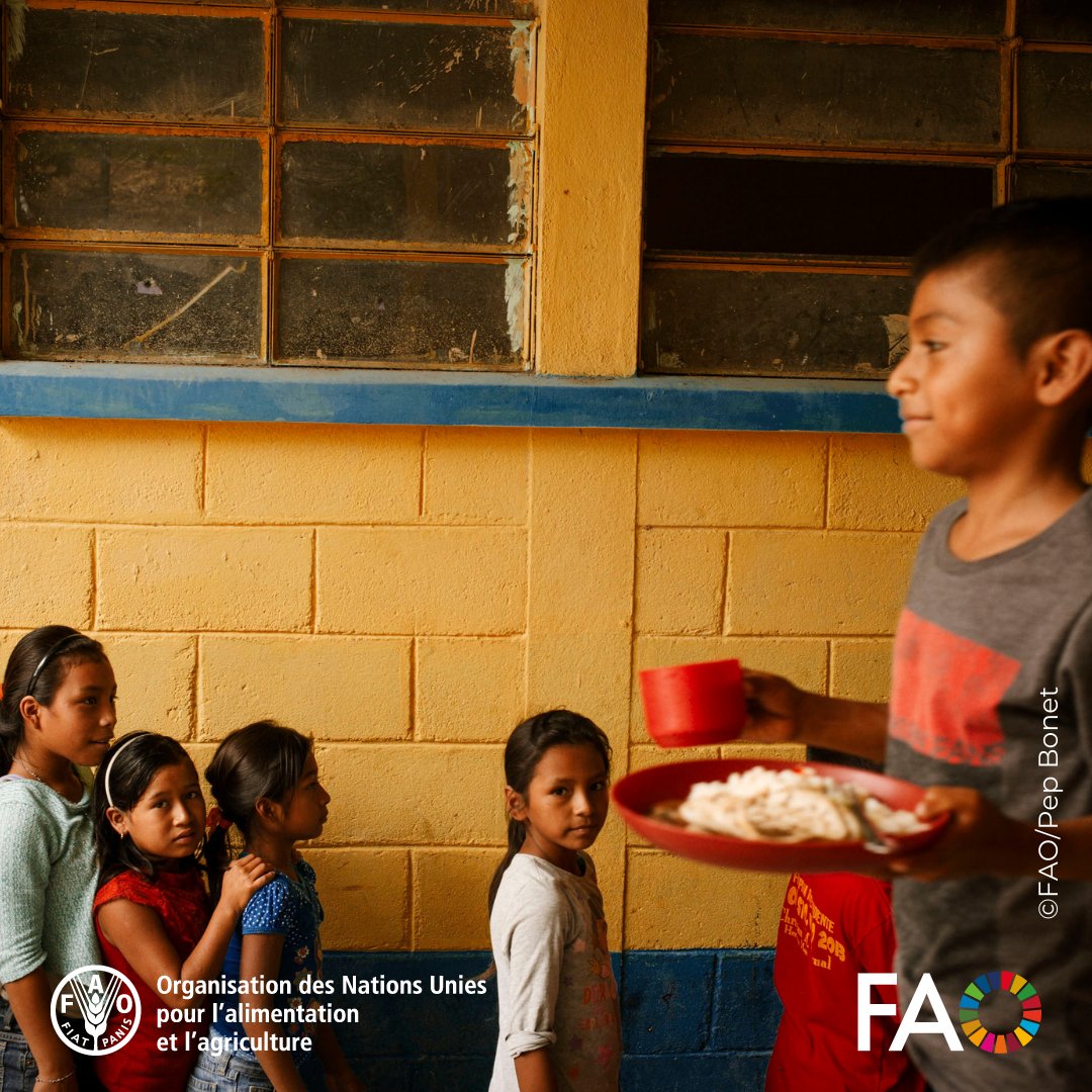 Nouveau cours d'apprentissage en ligne de la @FAO disponible ! Les liens entre la sécurité alimentaire, la nutrition et la protection sociale : Une introduction aux concepts et principes clés Accéder au cours 👉 ow.ly/W5l150Rx7IB