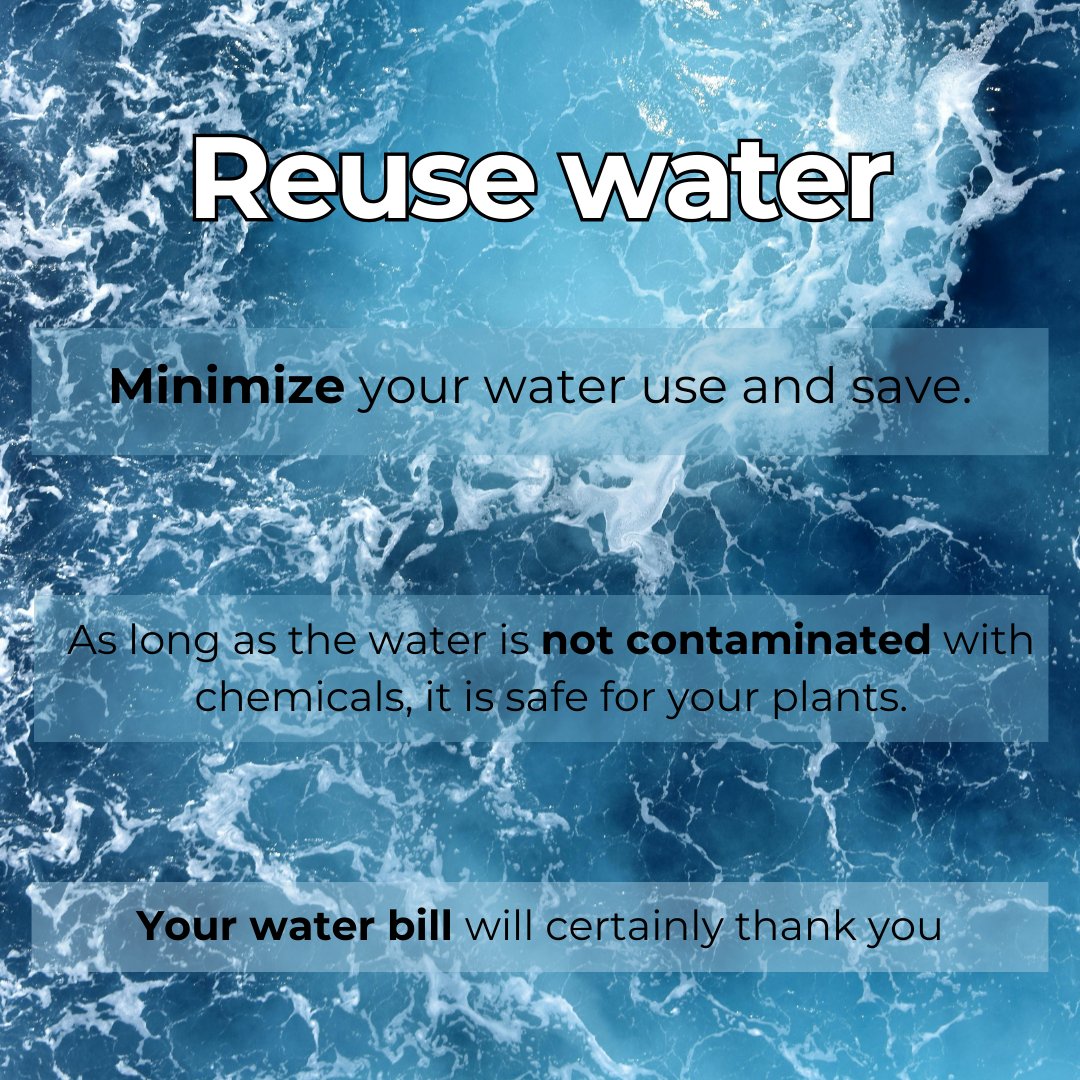 CircularInfluen's tweet image. 🍃🍃 Take into account these practices to make your life more sustainable 🍃🍃

🪴 Plant Native
🌊 Reuse water
🛠 Upcycle

#SustainableLiving #Sustainable #UpcycleRevolution